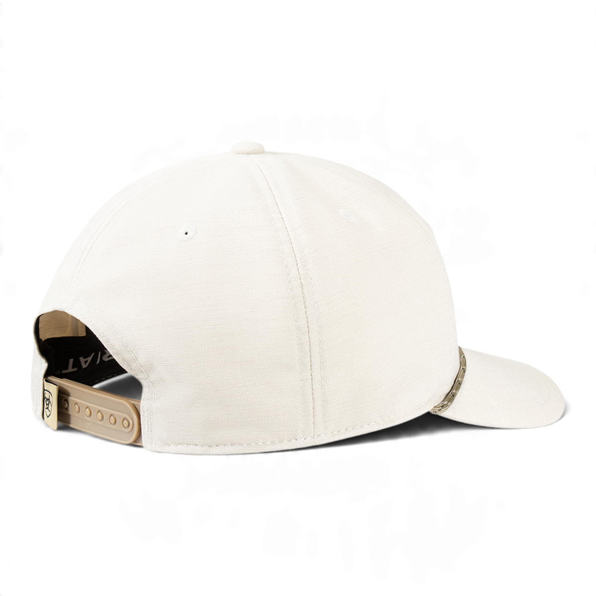 ARIAT MENS CAP SNAP BACK DESERT SCENE BROWN