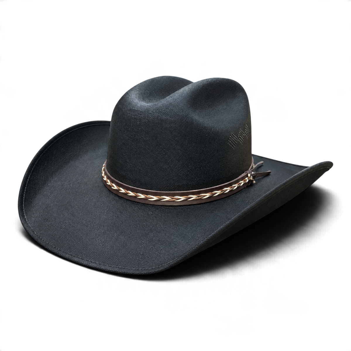 Chihuahua Canvas Western Hat