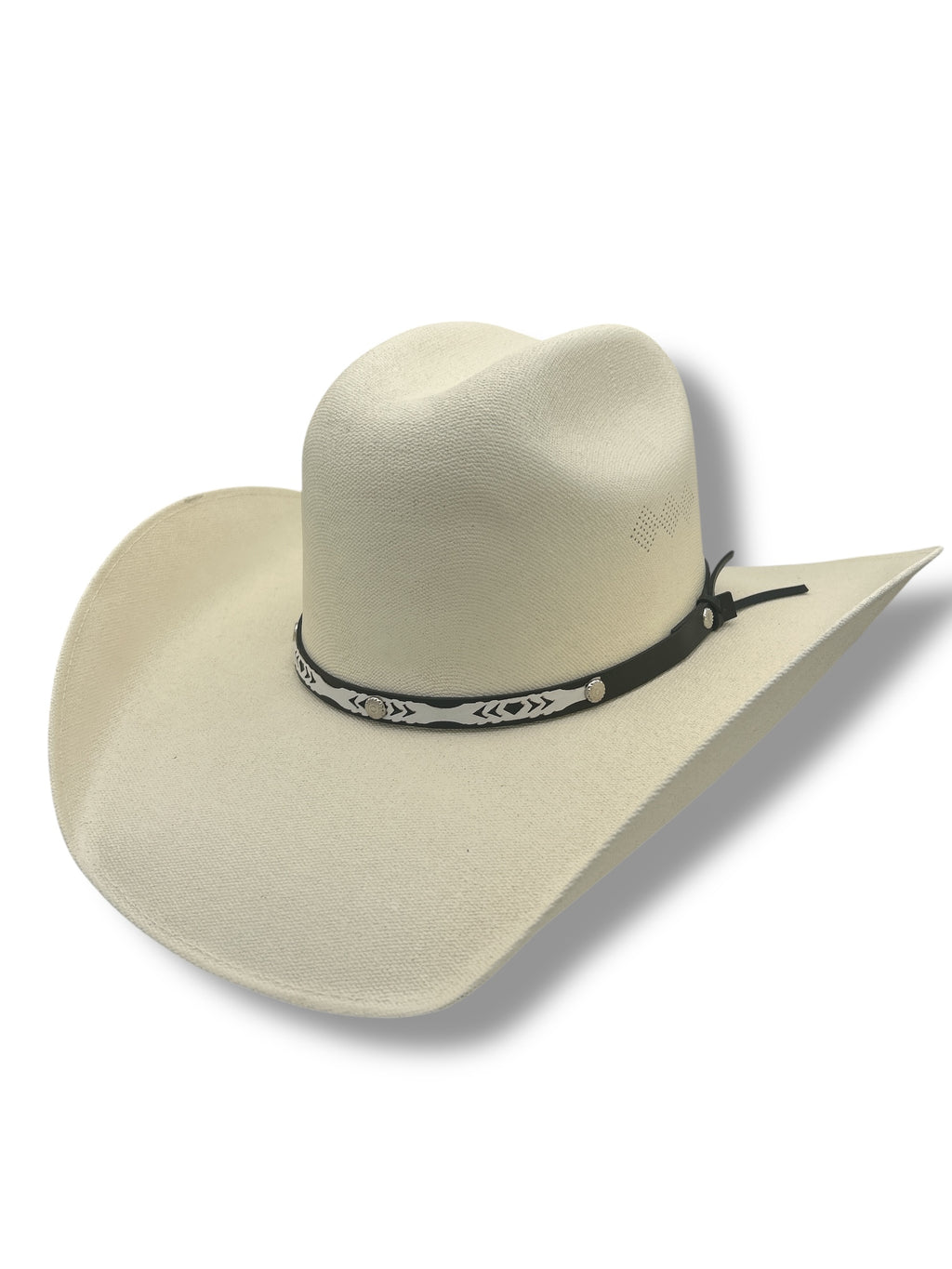 Chihuahua Canvas Western Hat