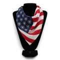 ARIAT BANDANA USA FLAG LOGO MULTICOLOR