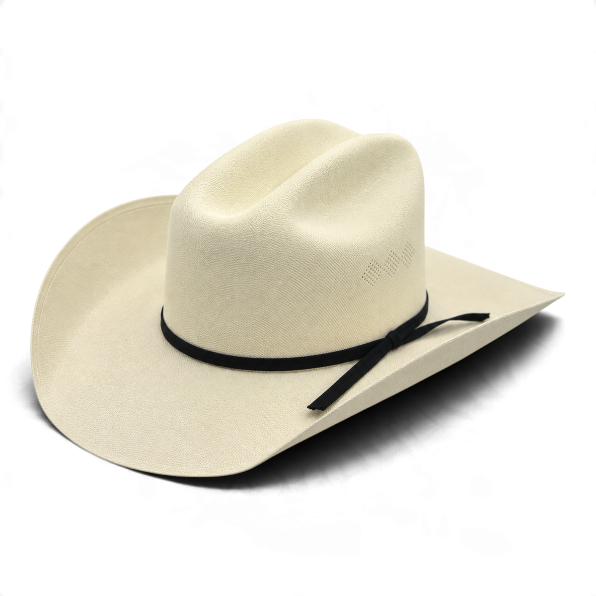 American Canvas Hat